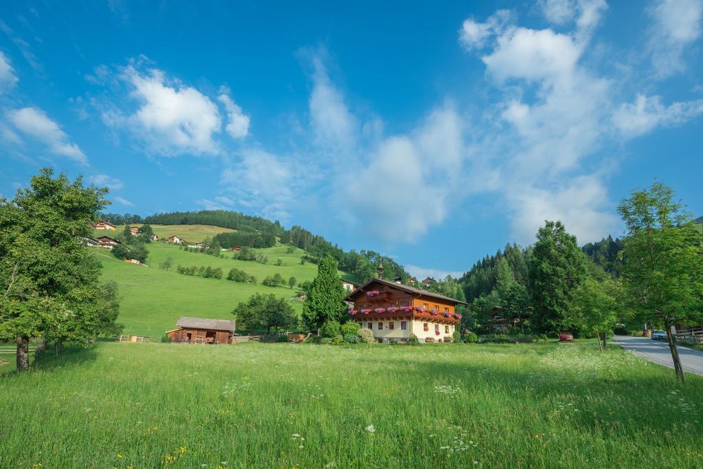 Bauernhof Auhof Apartment Ваграйн Екстериор снимка